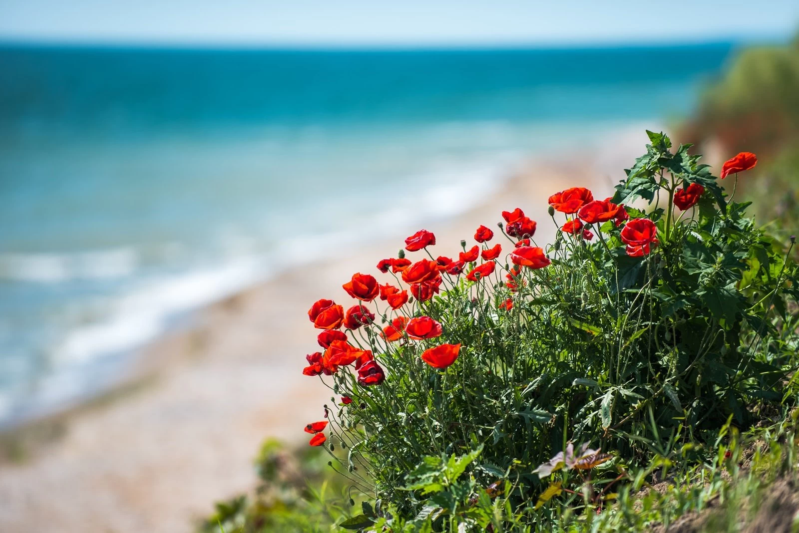 Tourist Attractions on the Black Sea Coast
