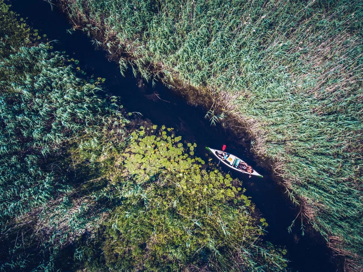 The Danube Delta: 10 Fascinating Facts to Ignite Your Travel Bug