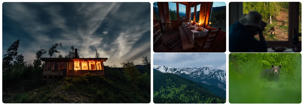 premium wildlife experience fagaras mountains