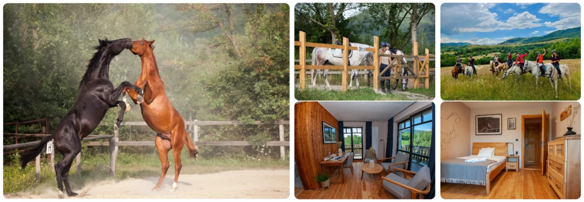 unique accommodations fagaras mountains