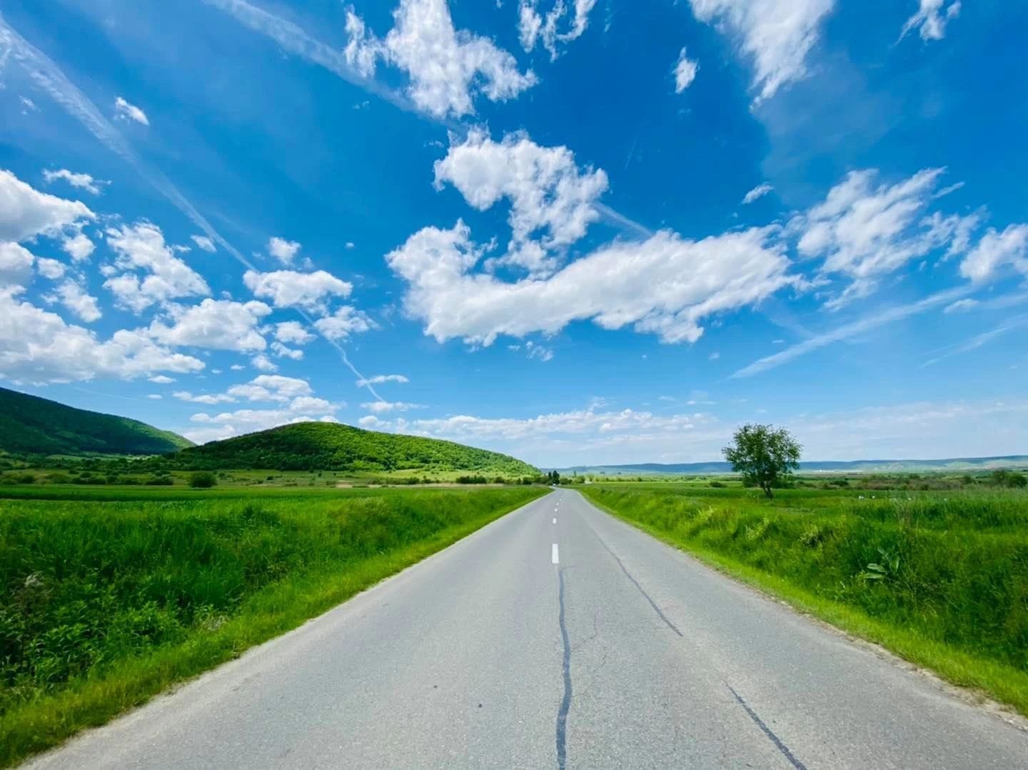 https://www.travlocals.com/uploads/0000/174/2022/03/22/197823264-4094920793930593-3924390698175347385-n.webp