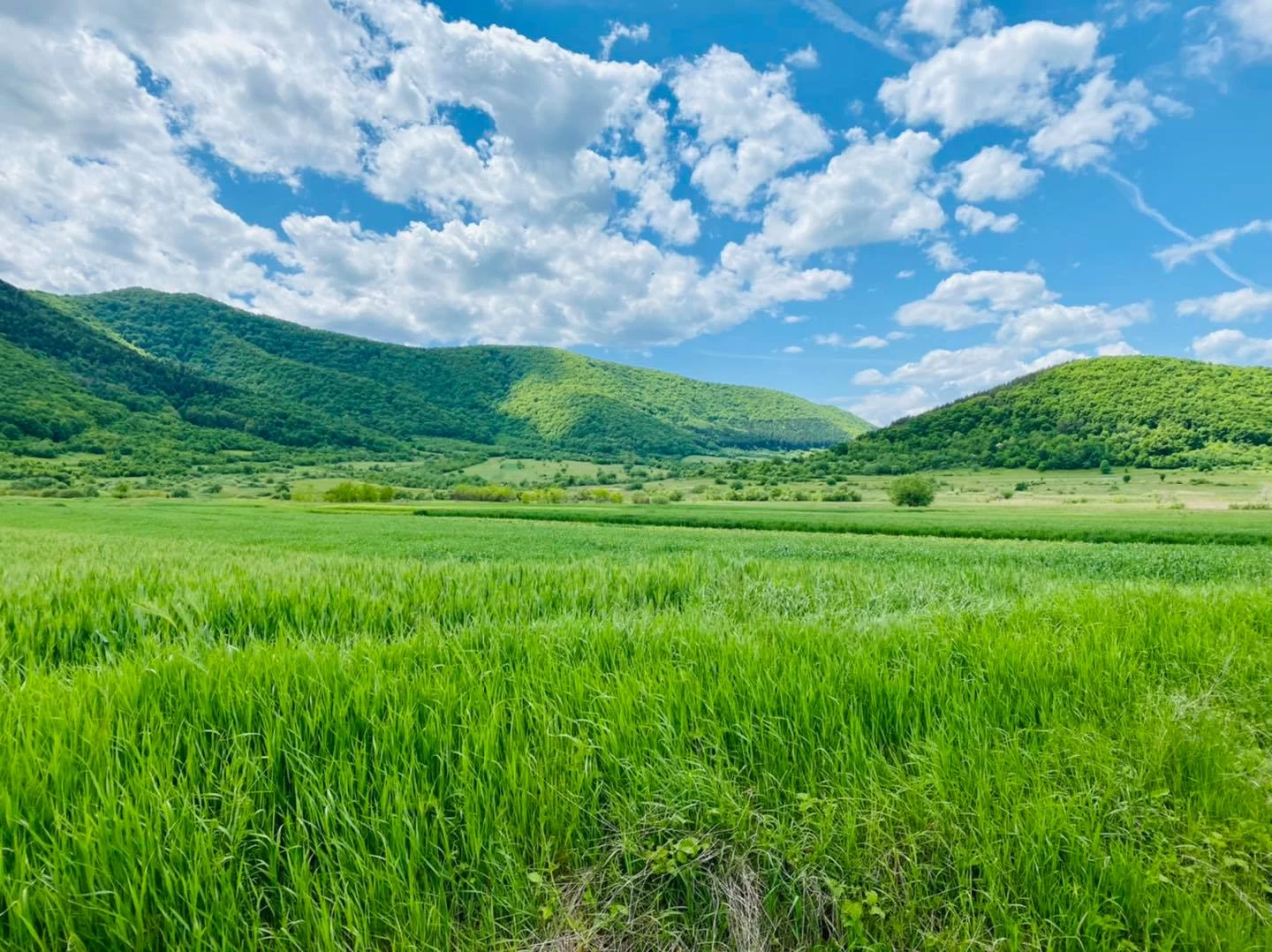 https://www.travlocals.com/uploads/0000/174/2022/03/22/198078710-4094920803930592-1296924482979953771-n.webp