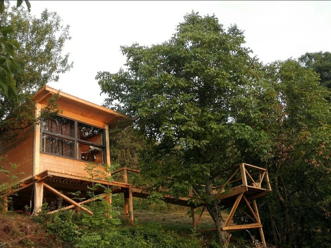 https://www.travlocals.com/uploads/0000/29/2025/02/10/screenshot-20250210-080956-airbnb.webp