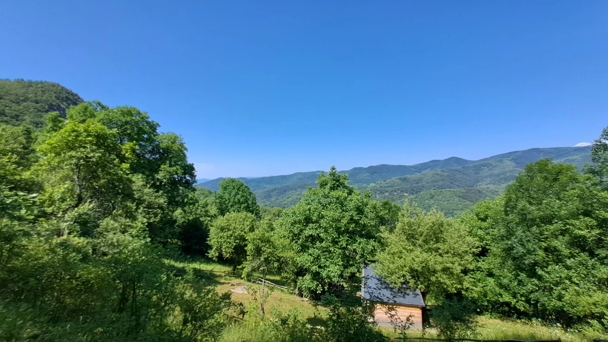 https://www.travlocals.com/uploads/0000/29/2025/07/05/20250624-112301.webp