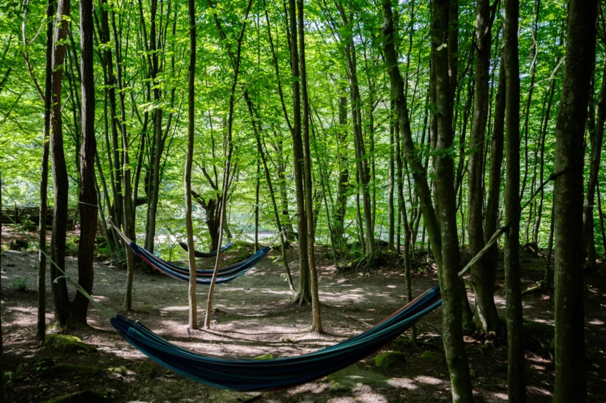 https://www.travlocals.com/uploads/0000/304/2025/07/04/1-23.webp
