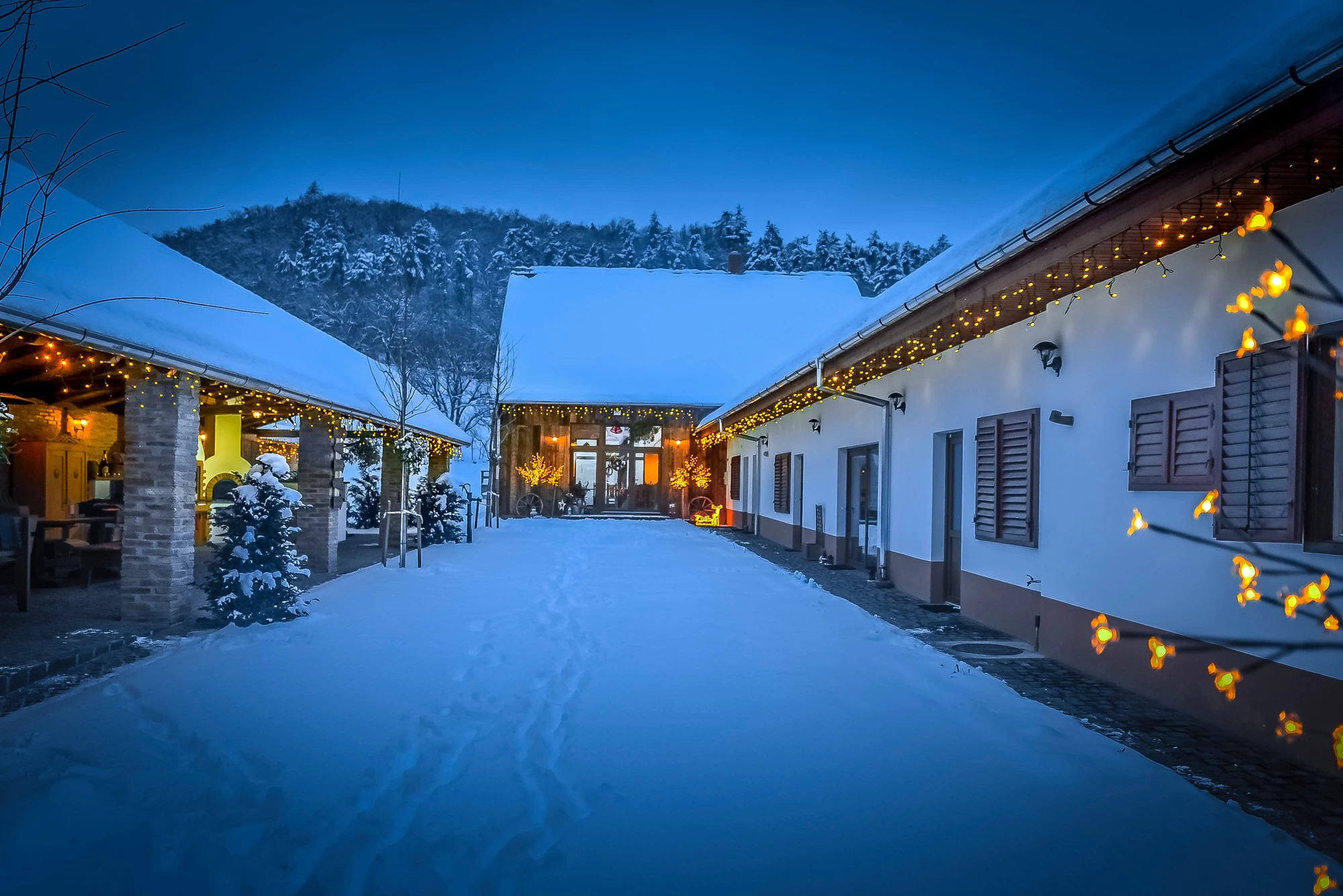 https://www.travlocals.com/uploads/0000/51/2022/03/28/79106682-2737994216260734-1402700120889229312-n.webp