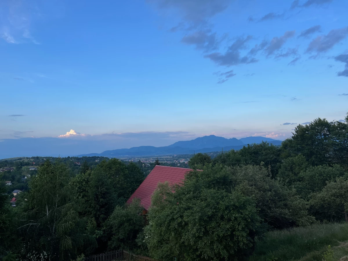 https://www.travlocals.com/uploads/0000/598/2024/07/03/vedere.webp