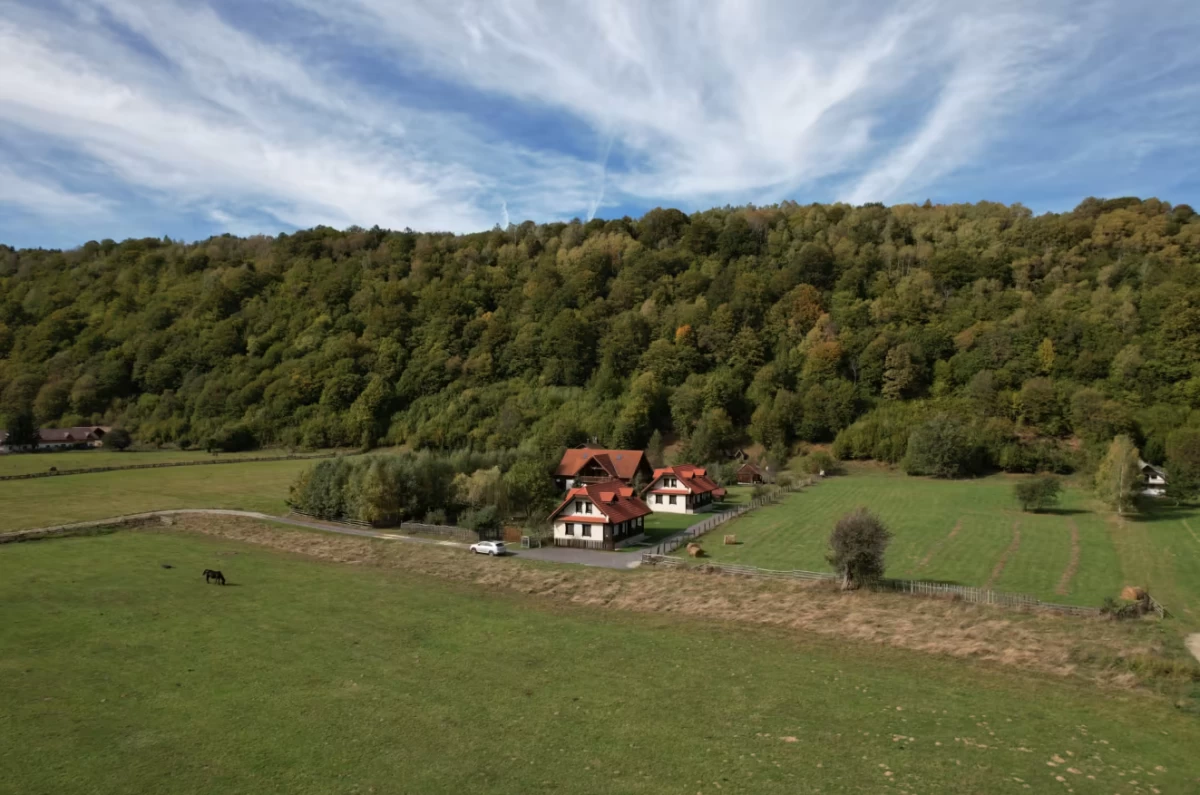 https://www.travlocals.com/uploads/0000/722/2025/07/08/screenshot-2025-07-08-090325.webp