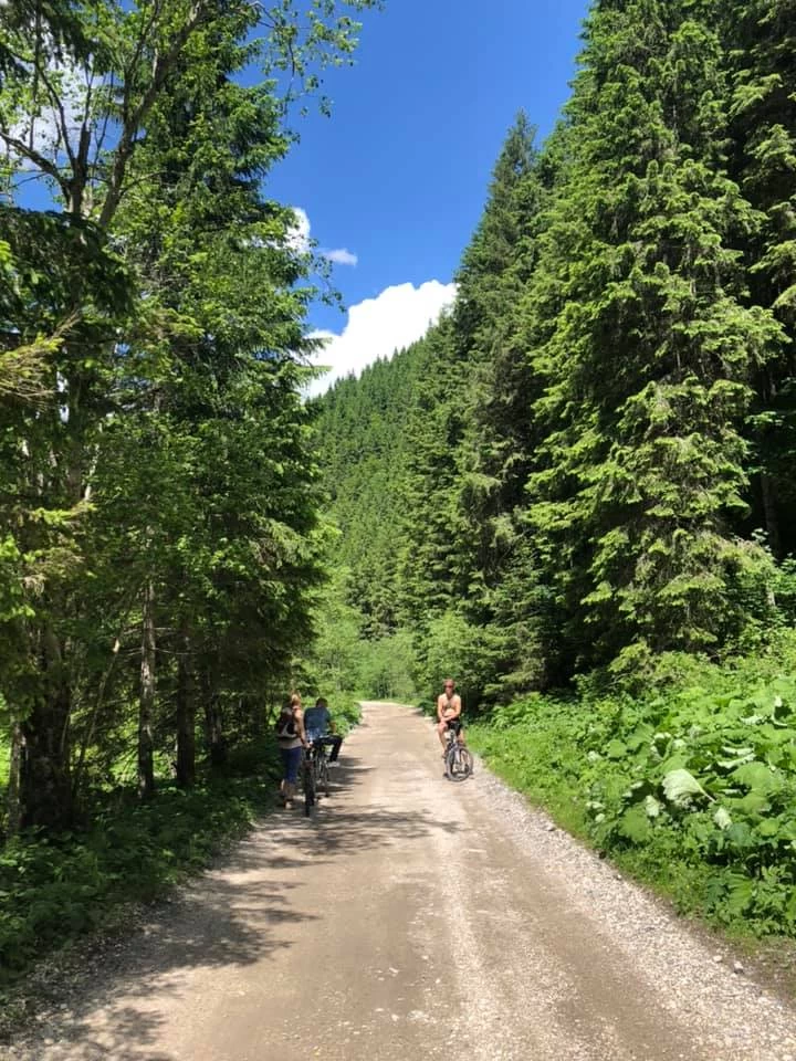 https://www.travlocals.com/uploads/0001/1072/2022/03/21/209240189-1327359587660489-8281289272451003331-n.webp