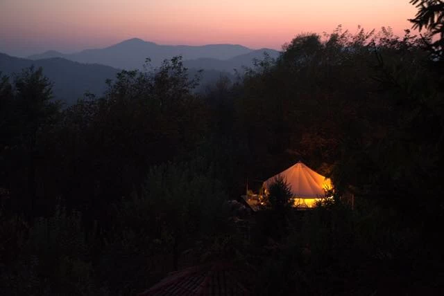 https://www.travlocals.com/uploads/0001/1072/2022/03/21/74188517-864363107293475-1317754390852927488-n.webp