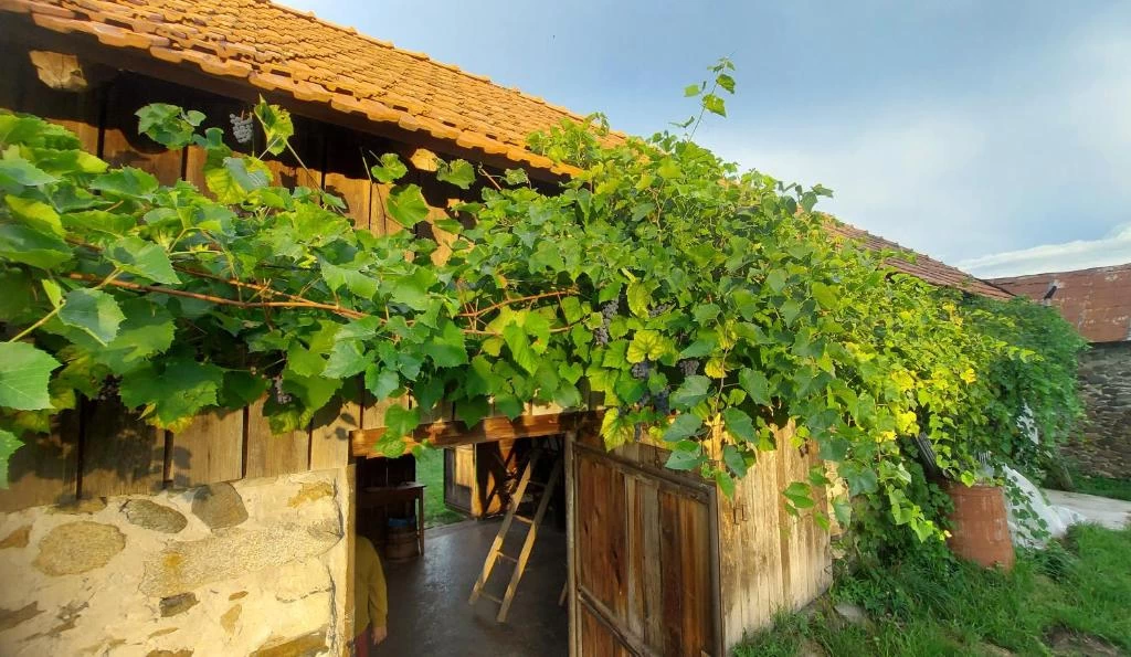 https://www.travlocals.com/uploads/0001/1593/2025/07/31/587830058.webp