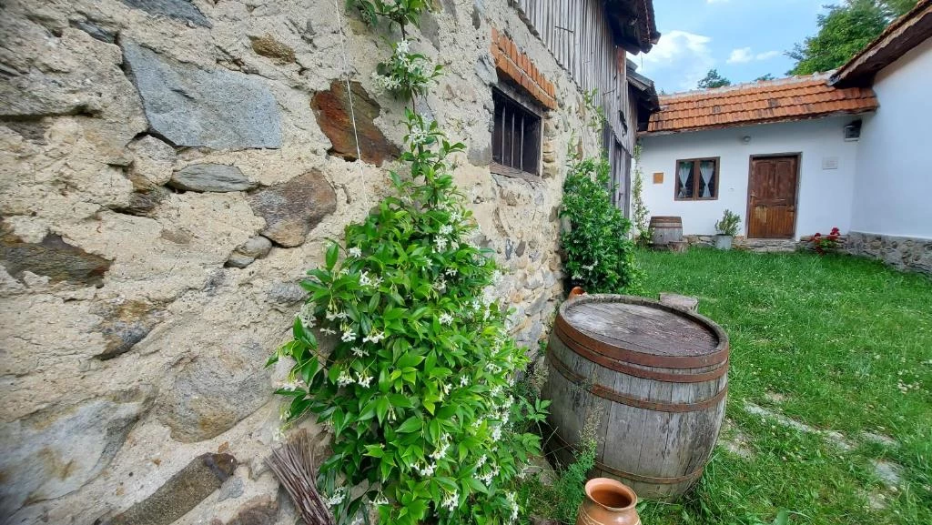 https://www.travlocals.com/uploads/0001/1593/2025/07/31/587830156.webp