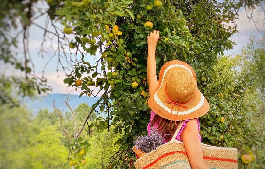 https://www.travlocals.com/uploads/0002/2929/2022/02/01/elena-870x555.webp