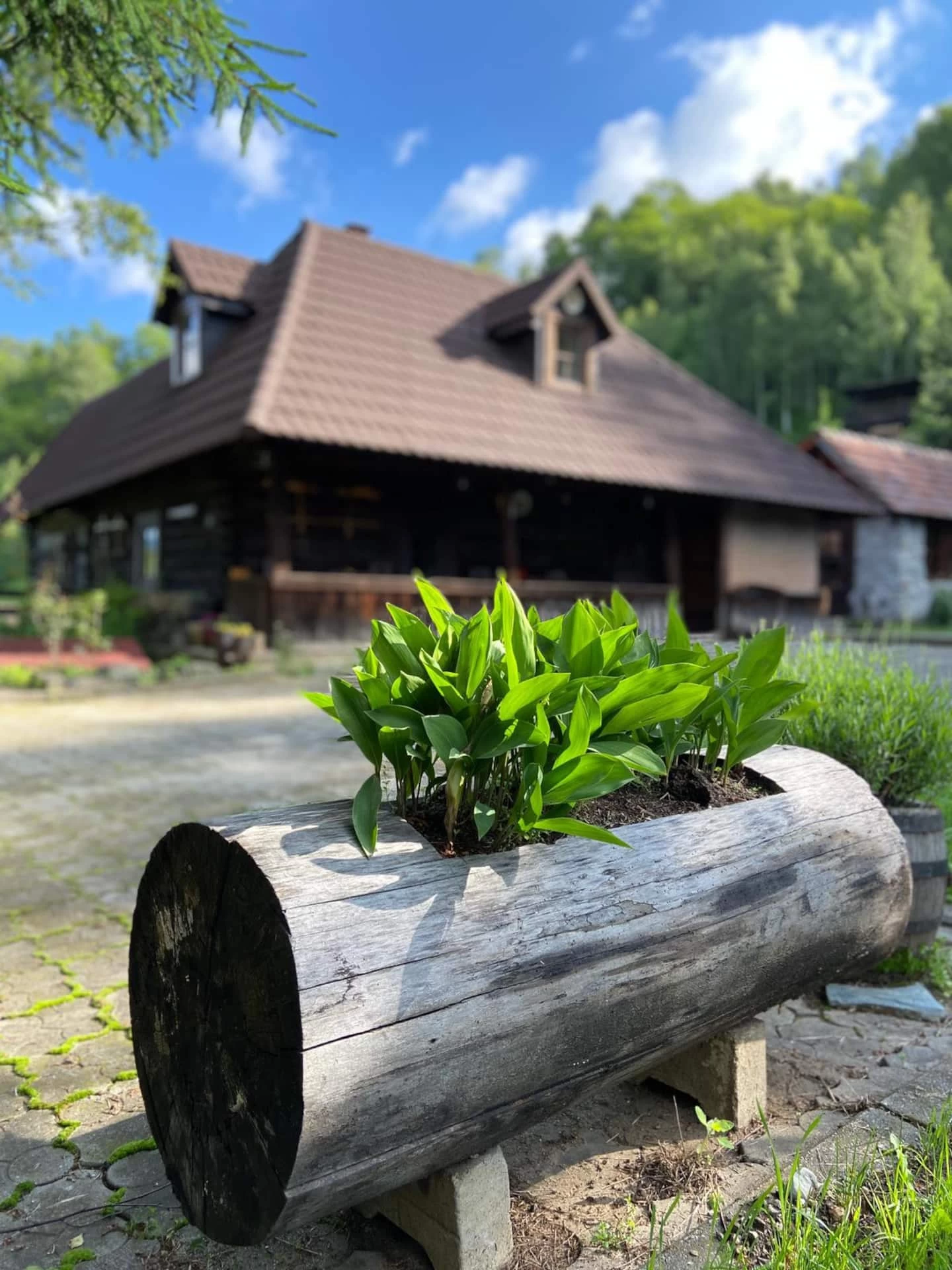Casa Veche, Maleia Garten, Petrosani