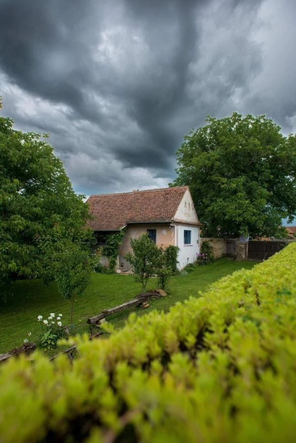 Casa din Sona, Tara Fagarasului, Transilvania