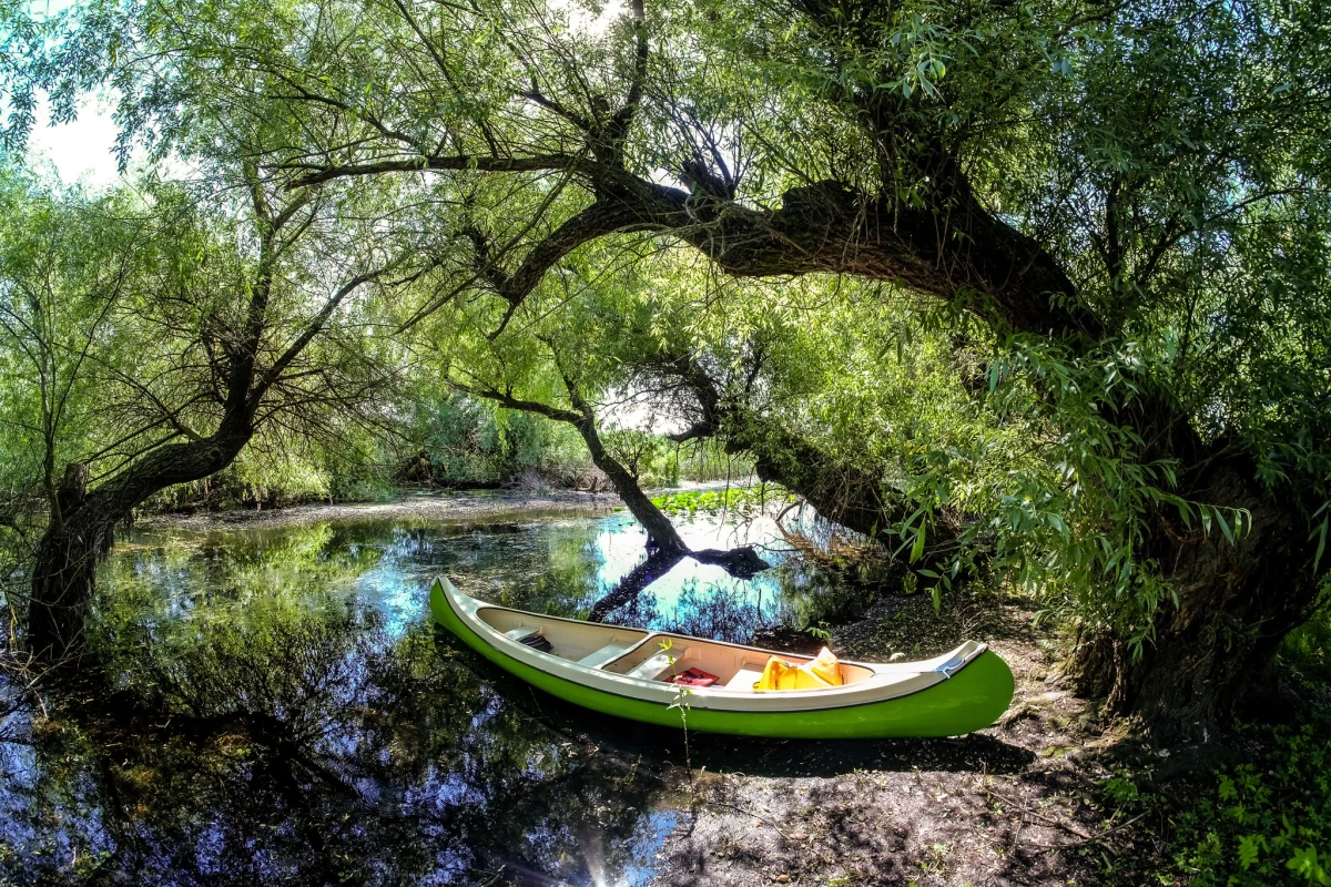 https://www.travlocals.com/uploads/0003/3785/2025/04/07/487486241-1097269629107705-8833656049531910209-n.webp