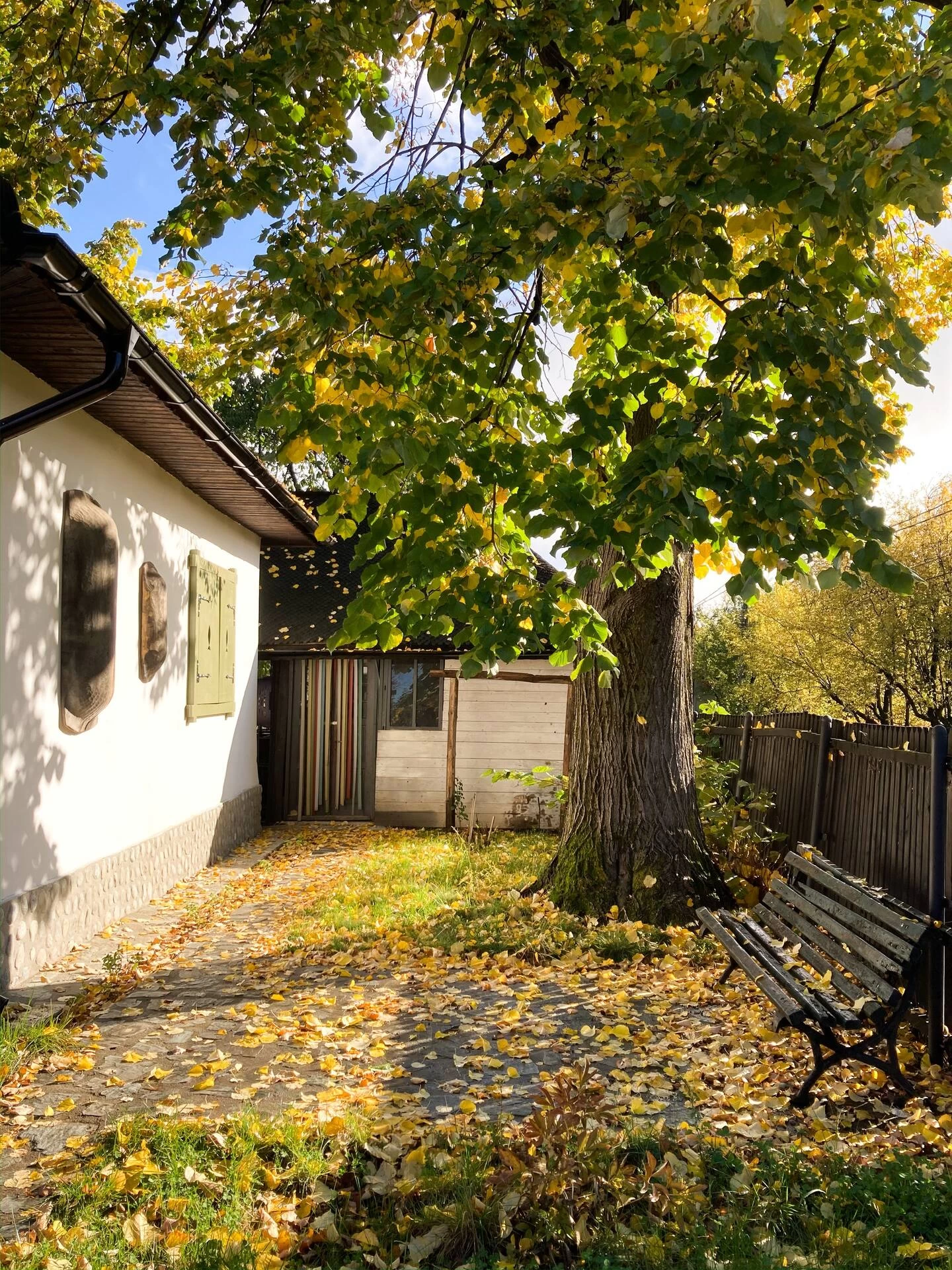 https://www.travlocals.com/uploads/0004/4248/2022/01/18/e294613a-a4e3-454a-923c-987b6a08b333.webp