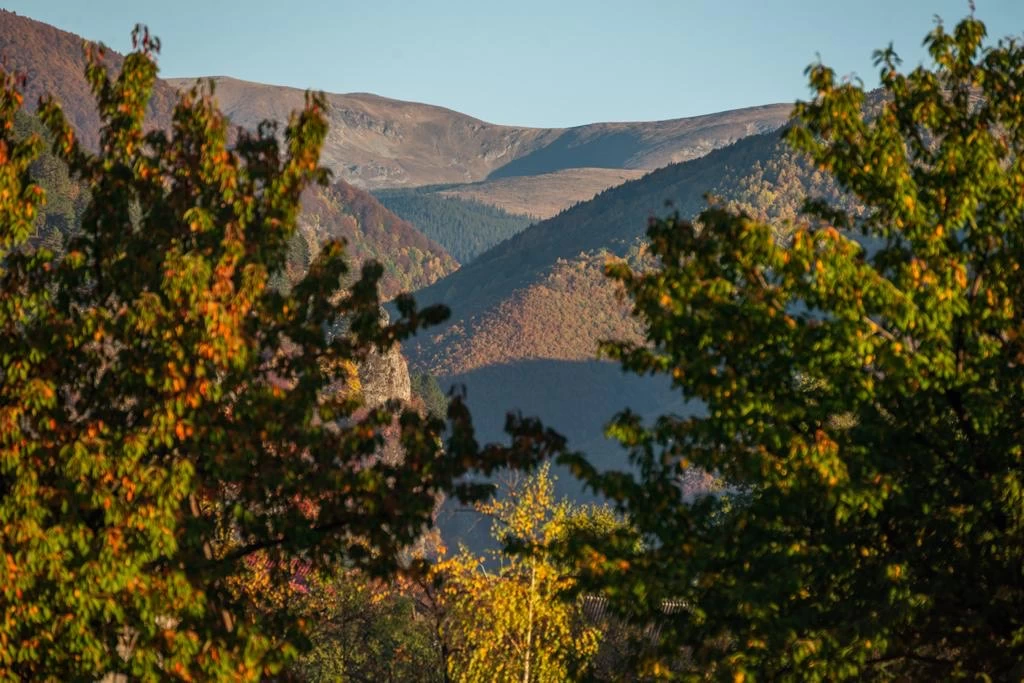 https://www.travlocals.com/uploads/0004/4248/2023/11/27/2.webp