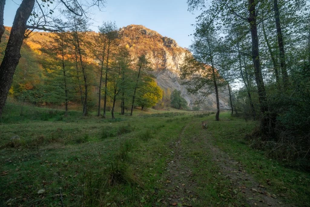 https://www.travlocals.com/uploads/0004/4248/2023/11/27/3.webp