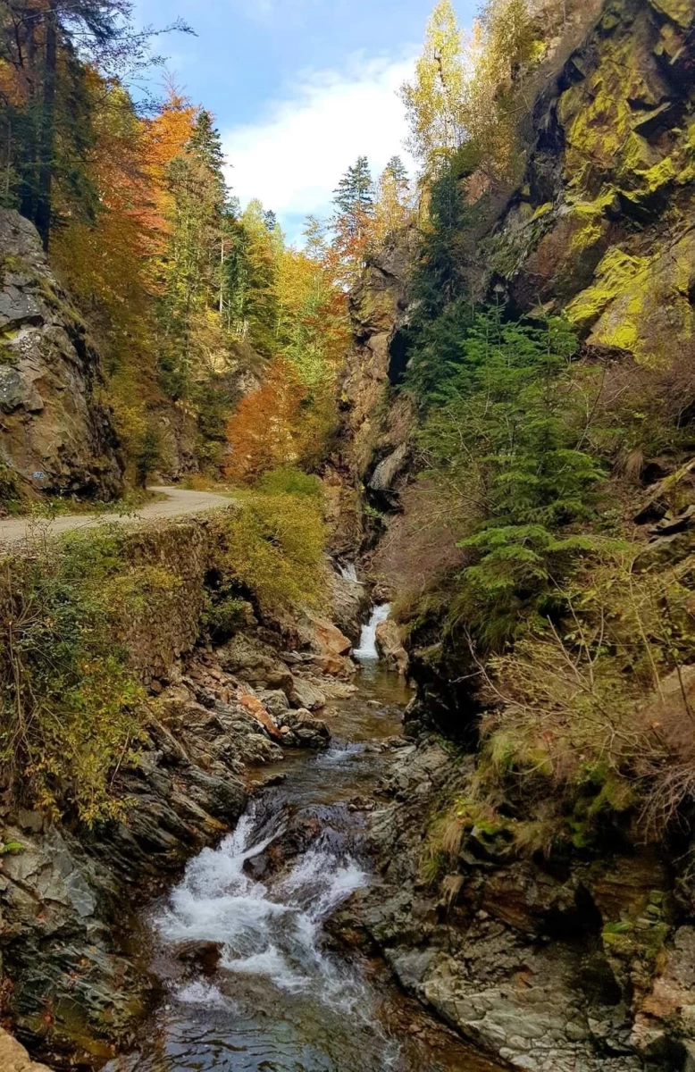 https://www.travlocals.com/uploads/0004/4248/2023/11/27/7.webp
