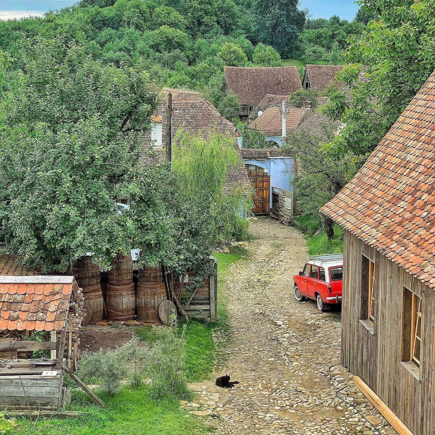 https://www.travlocals.com/uploads/0004/4573/2022/02/23/109120526-1625199440975196-8837639237326539216-n.webp