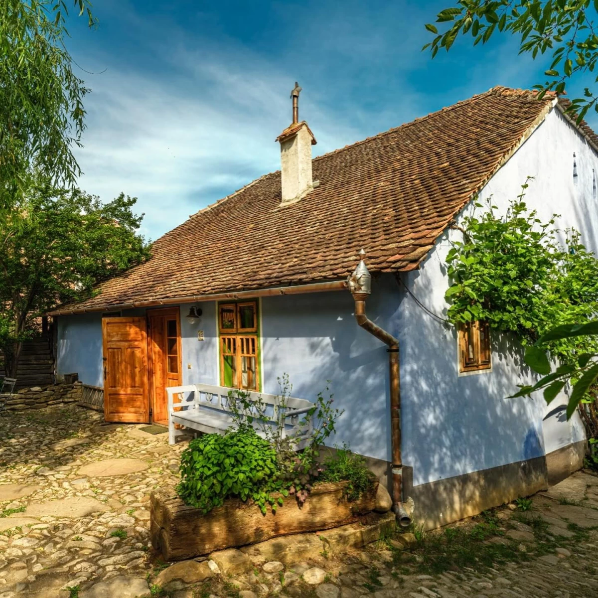 https://www.travlocals.com/uploads/0004/4573/2025/03/07/473803720-927614936146579-4274765405446810040-n.webp