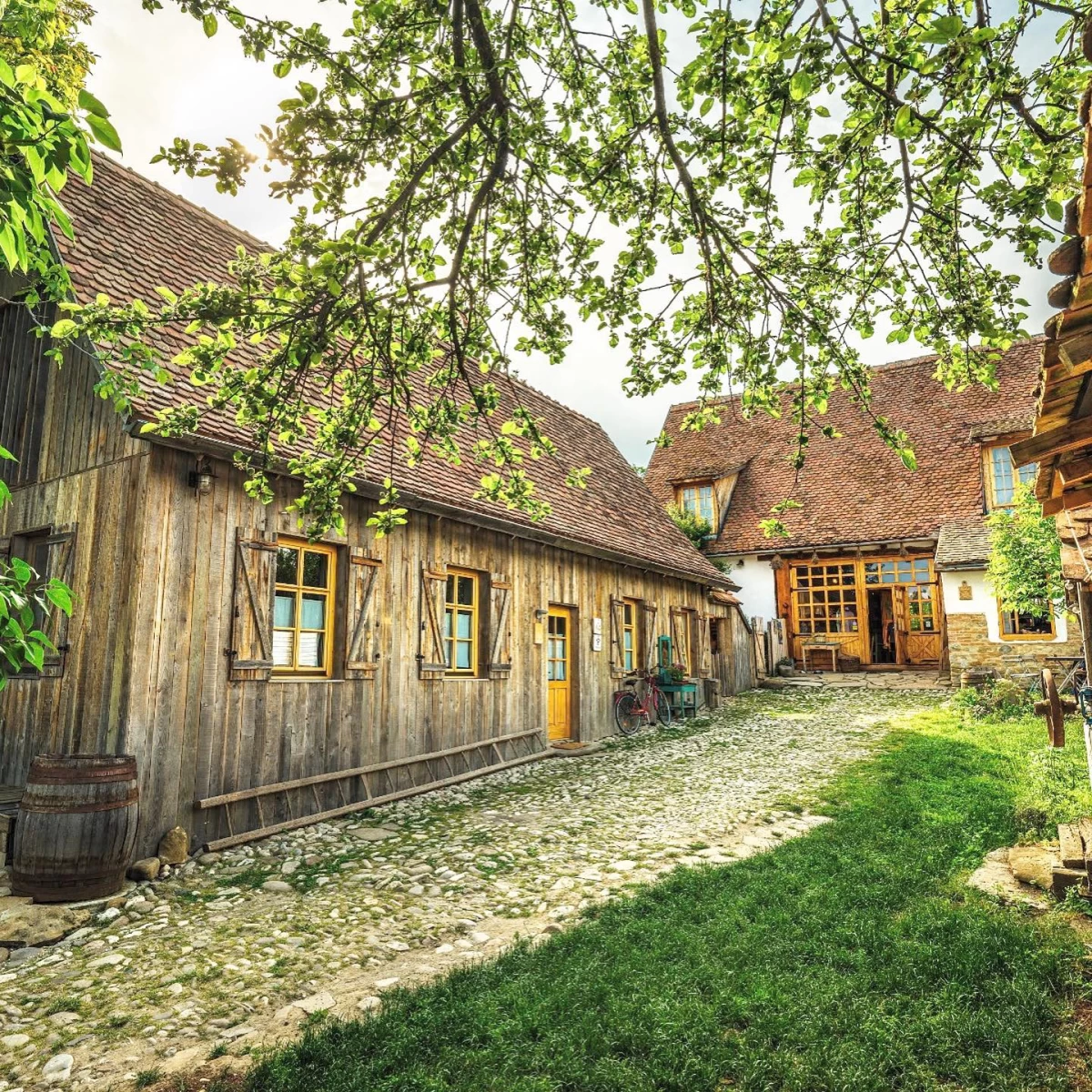 https://www.travlocals.com/uploads/0004/4573/2025/03/07/476909937-942165448024861-5103077640009711044-n.webp