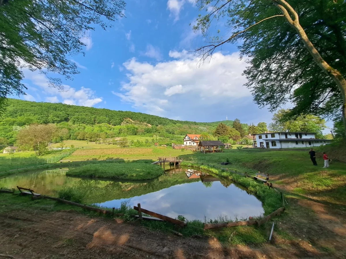 https://www.travlocals.com/uploads/0004/4579/2025/06/03/482132400-973757244854382-4825016262628376871-n.webp