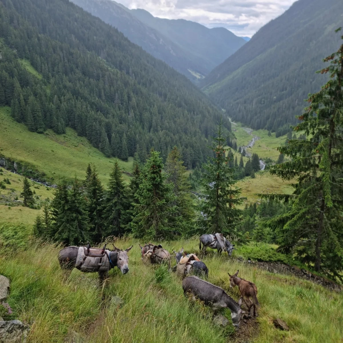 https://www.travlocals.com/uploads/0005/5975/2024/10/01/382748044-10218608228836597-2502951739343445708-n.webp