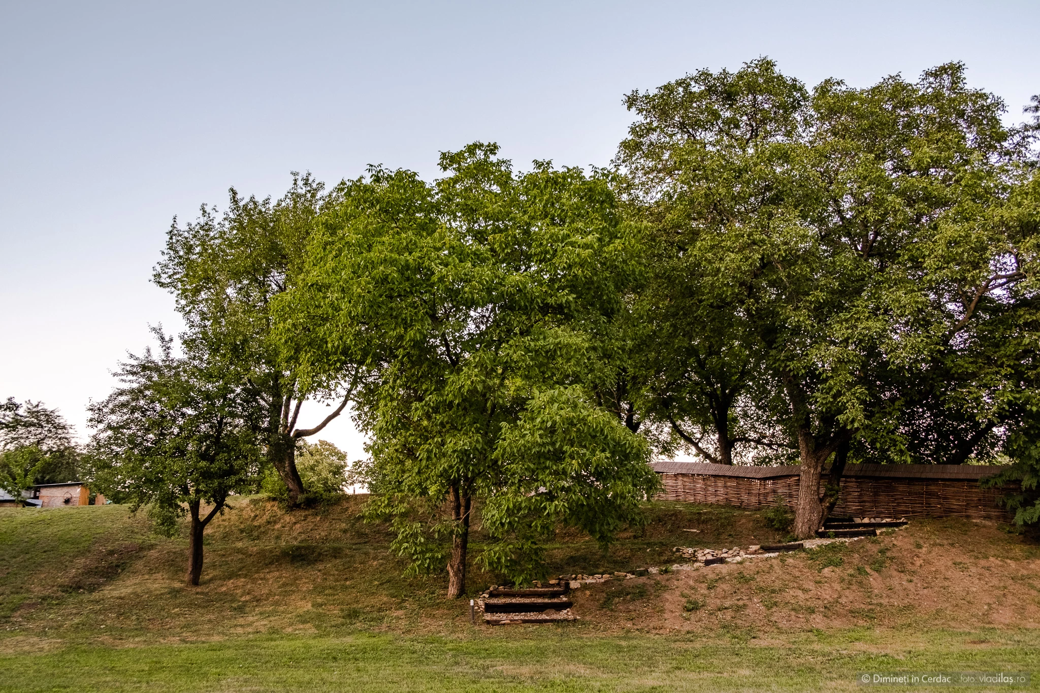 https://www.travlocals.com/uploads/0006/6011/2022/08/22/vladilas-2022-07-21-dimineti-in-cerdac-foto-0153.webp