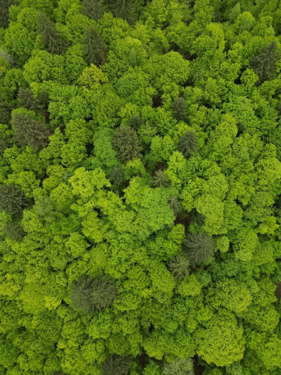 https://www.travlocals.com/uploads/0006/6127/2024/09/10/344767918-101495456287262-4460086212572945864-n.webp