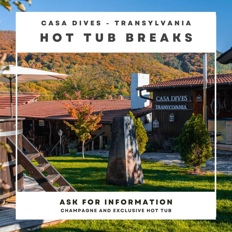 https://www.travlocals.com/uploads/0006/6143/2024/03/14/cazare-transilvania-piscina-jacuzzi64.webp