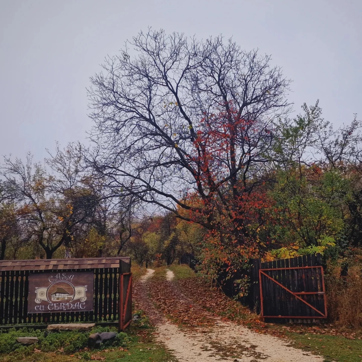 https://www.travlocals.com/uploads/0006/6201/2025/04/22/481898983-619501361009464-6079237537293024833-n.webp