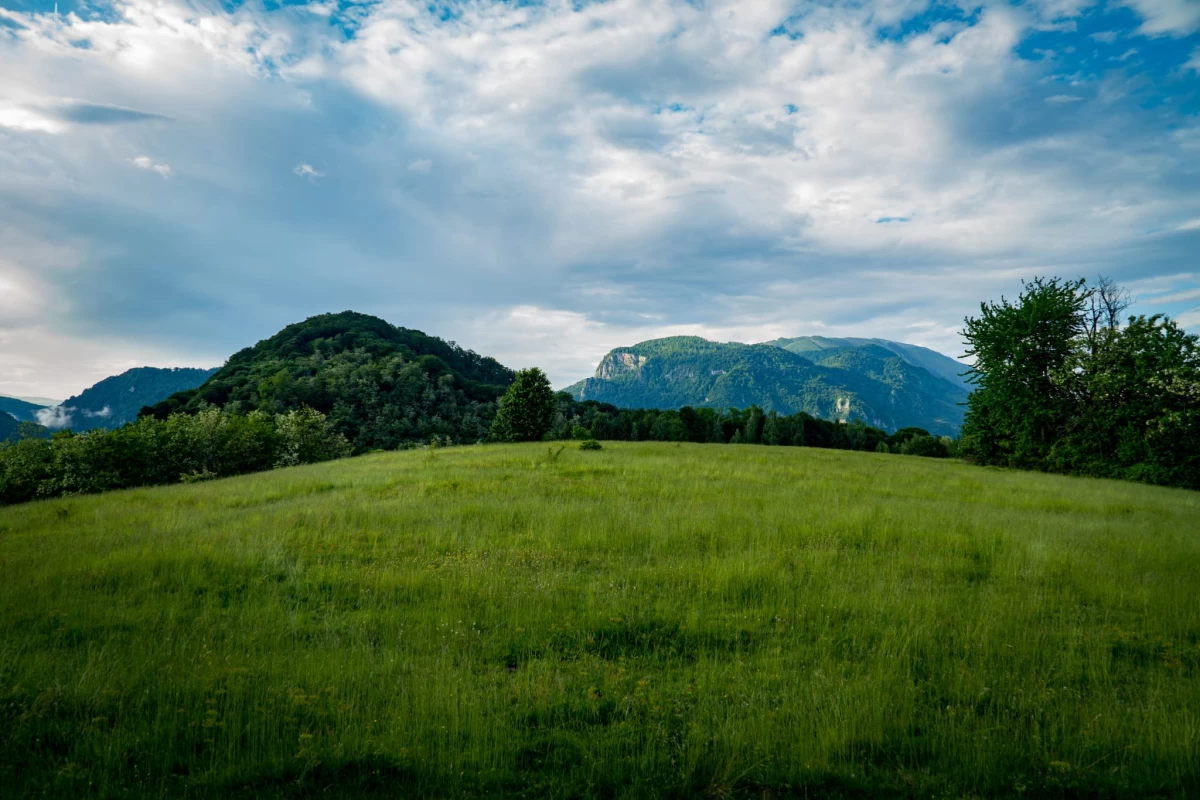 https://www.travlocals.com/uploads/0006/6238/2023/06/16/whatsapp-image-2023-06-16-at-181824-1.webp