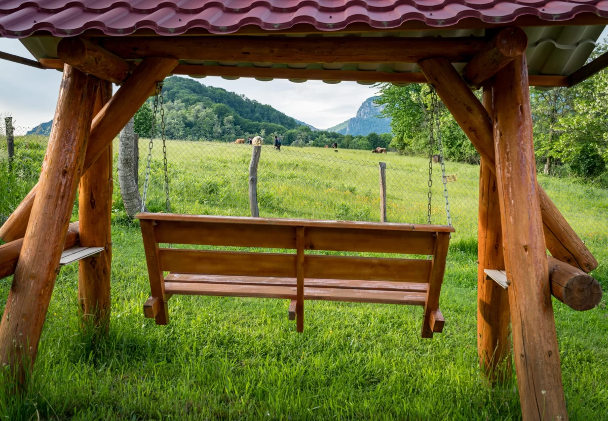 https://www.travlocals.com/uploads/0006/6238/2023/06/16/whatsapp-image-2023-06-16-at-181824.webp
