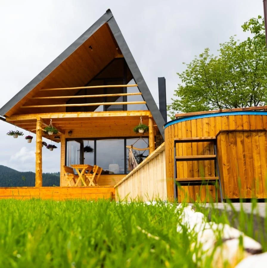 Cabana dintre mesteceni