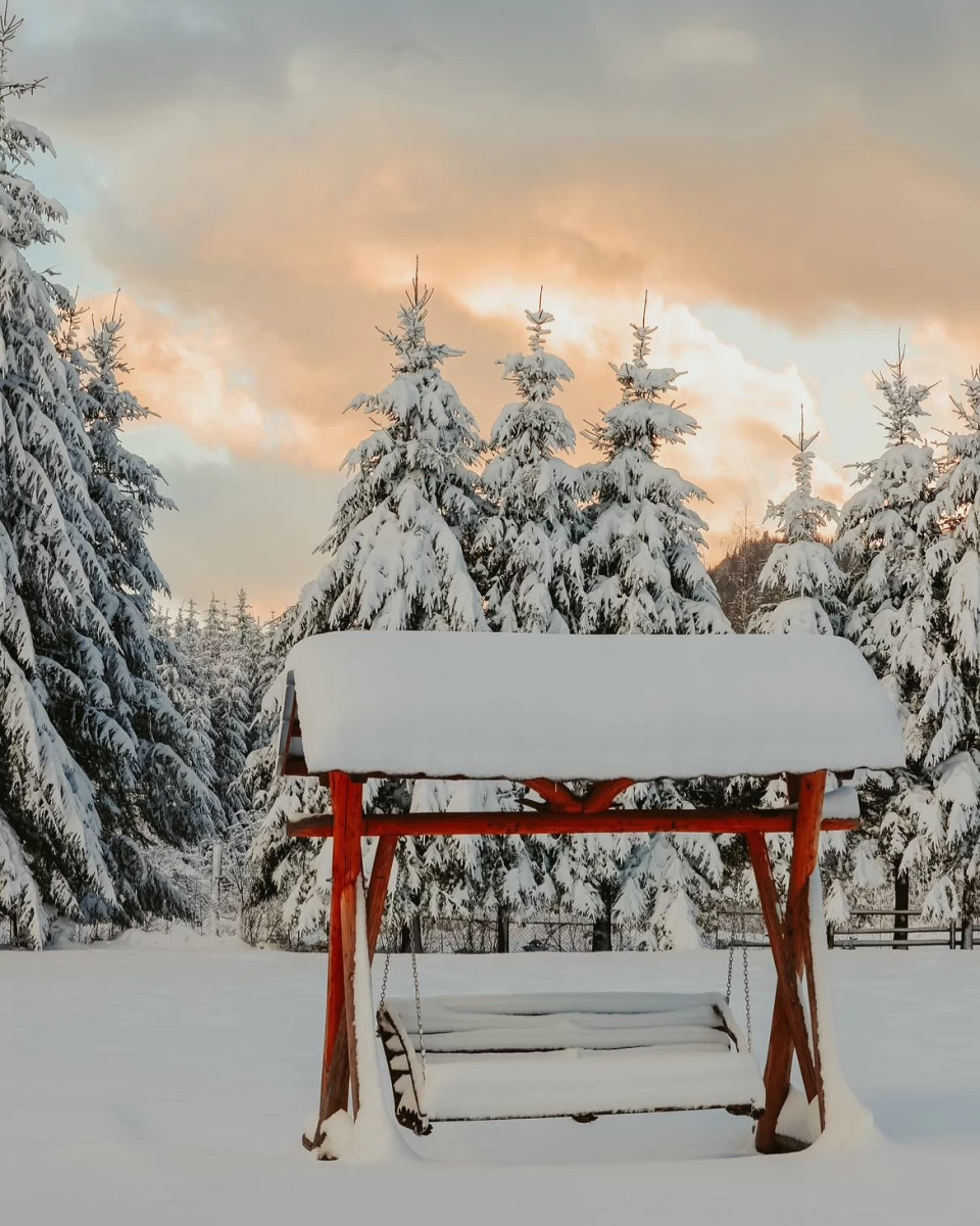 https://www.travlocals.com/uploads/0006/6607/2025/02/25/468212592-18027979451609958-22873240172543254-n.webp