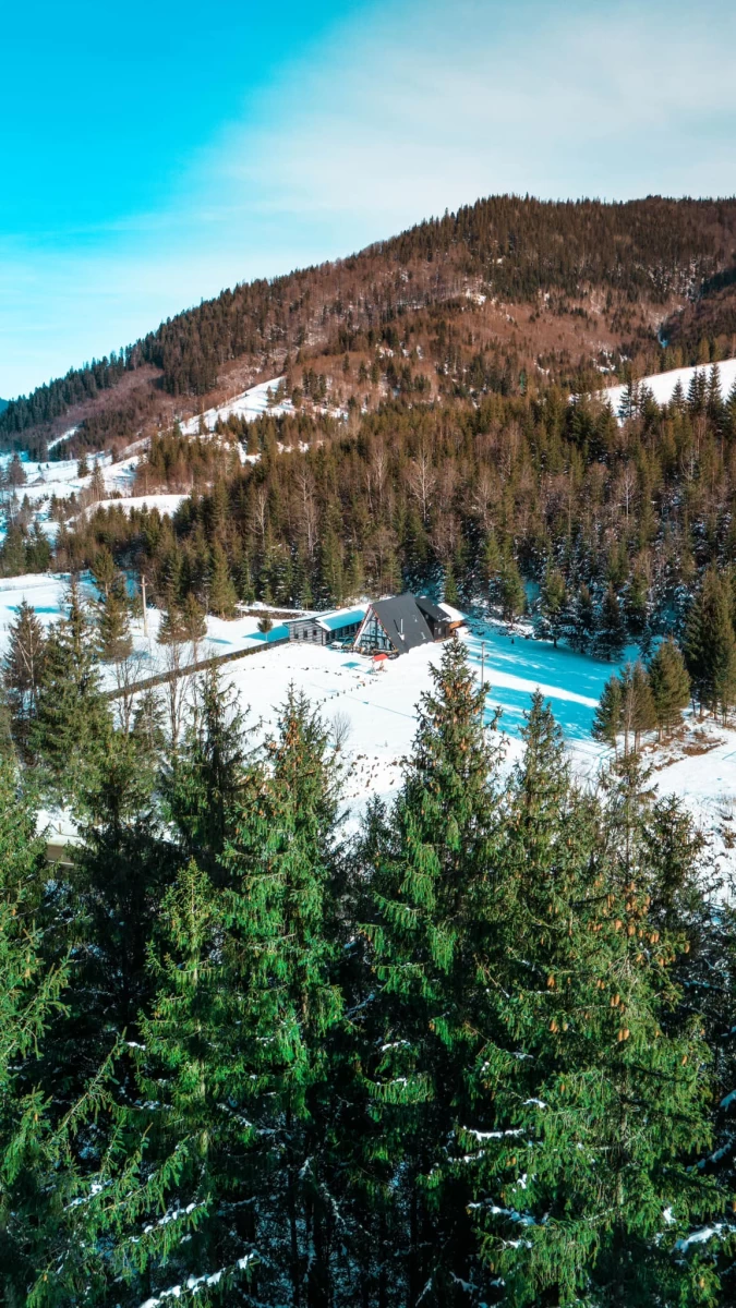 https://www.travlocals.com/uploads/0006/6607/2025/02/25/474542244-609369171641468-4703634889235468892-n.webp