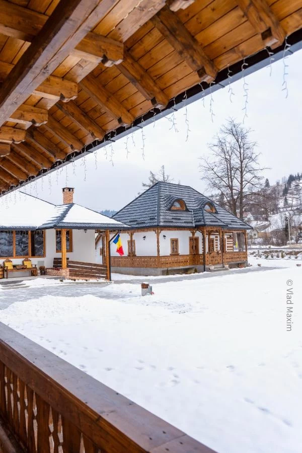 https://www.travlocals.com/uploads/0006/6755/2025/02/27/521511540.webp