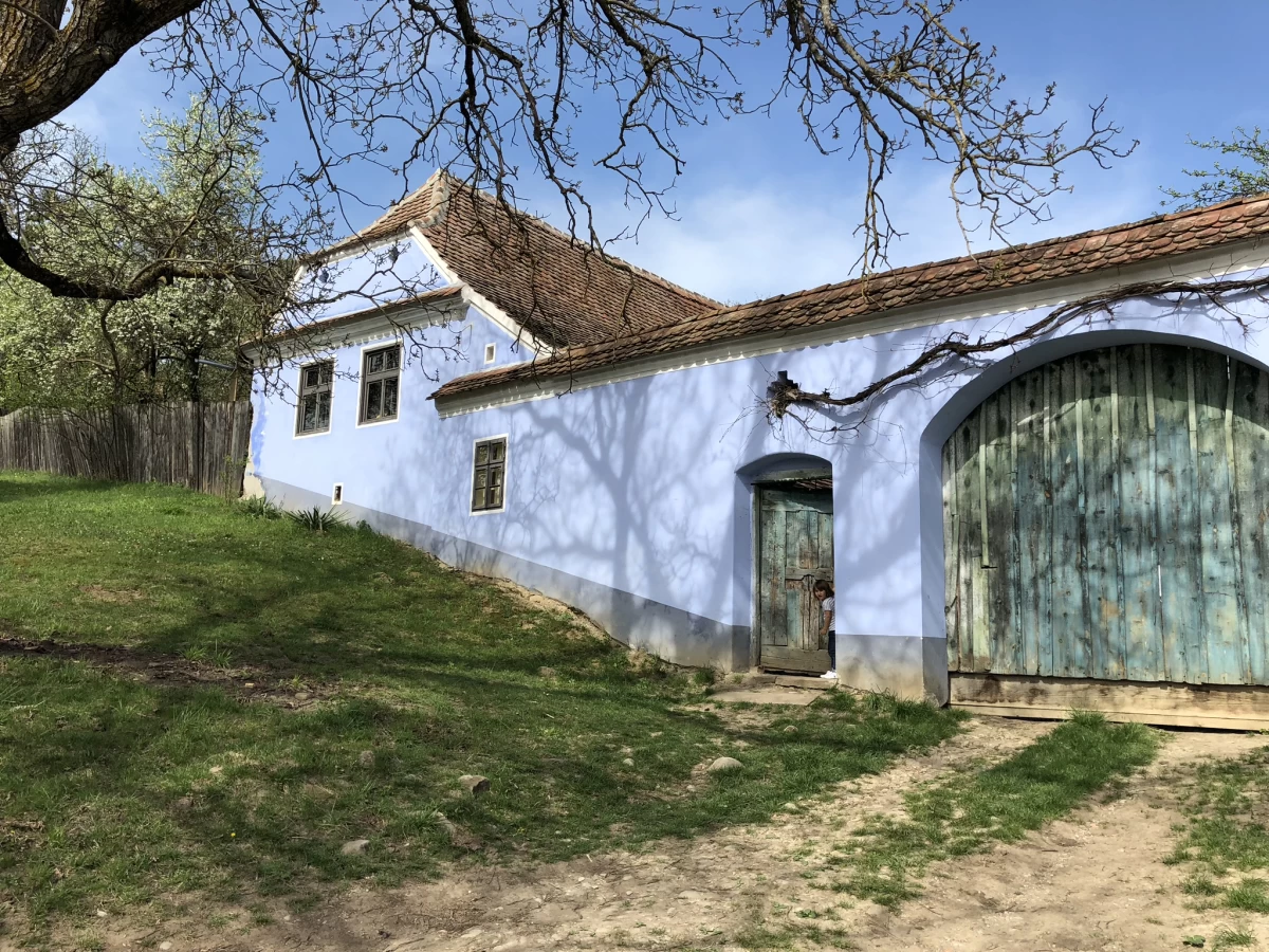 https://www.travlocals.com/uploads/0006/6832/2025/02/28/477779555-1024684176358618-4614821964981717509-n.webp
