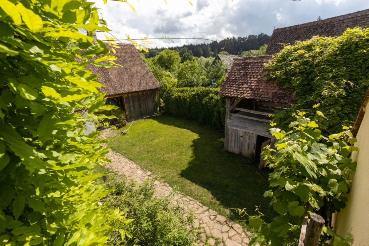 https://www.travlocals.com/uploads/0006/6832/2025/02/28/andr063064d5592bbf649.webp