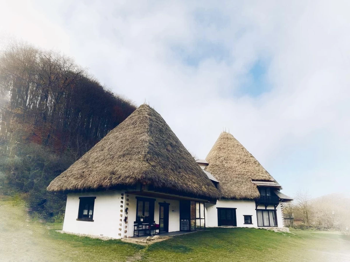 https://www.travlocals.com/uploads/0007/7765/2025/03/07/474903409-637639158786975-3085312400665553265-n.webp