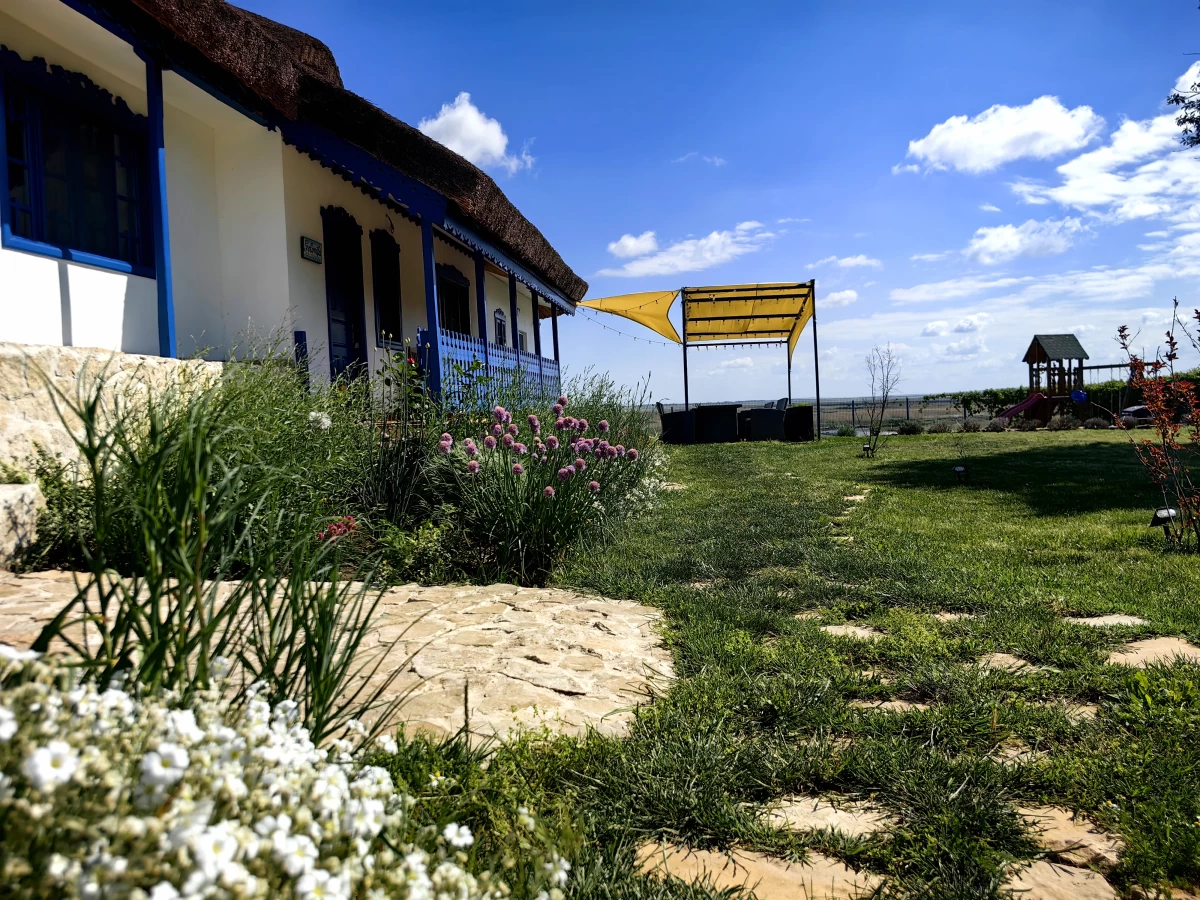 https://www.travlocals.com/uploads/0008/8791/2025/06/08/img-20250530-155936-edit-112732725172360.webp