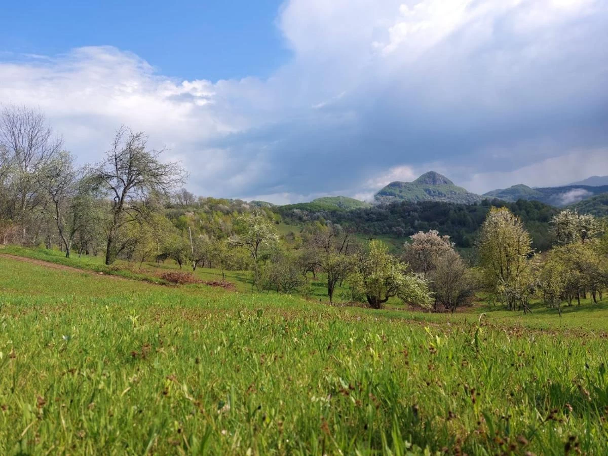 https://www.travlocals.com/uploads/0008/8900/2024/05/16/368889219.webp
