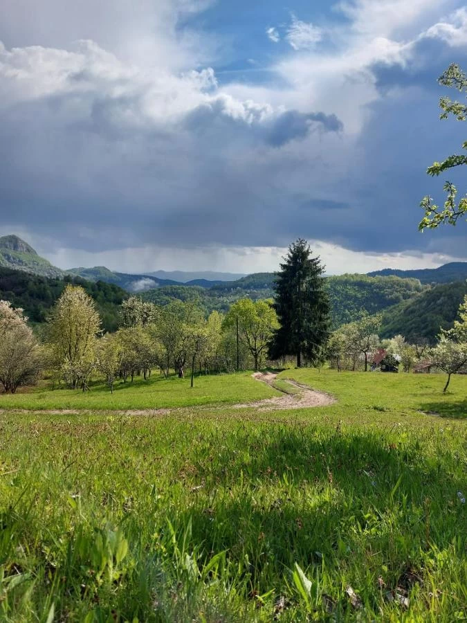https://www.travlocals.com/uploads/0008/8900/2024/05/16/368892418.webp