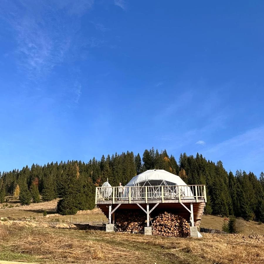 https://www.travlocals.com/uploads/0009/9008/2024/06/14/502581684.webp