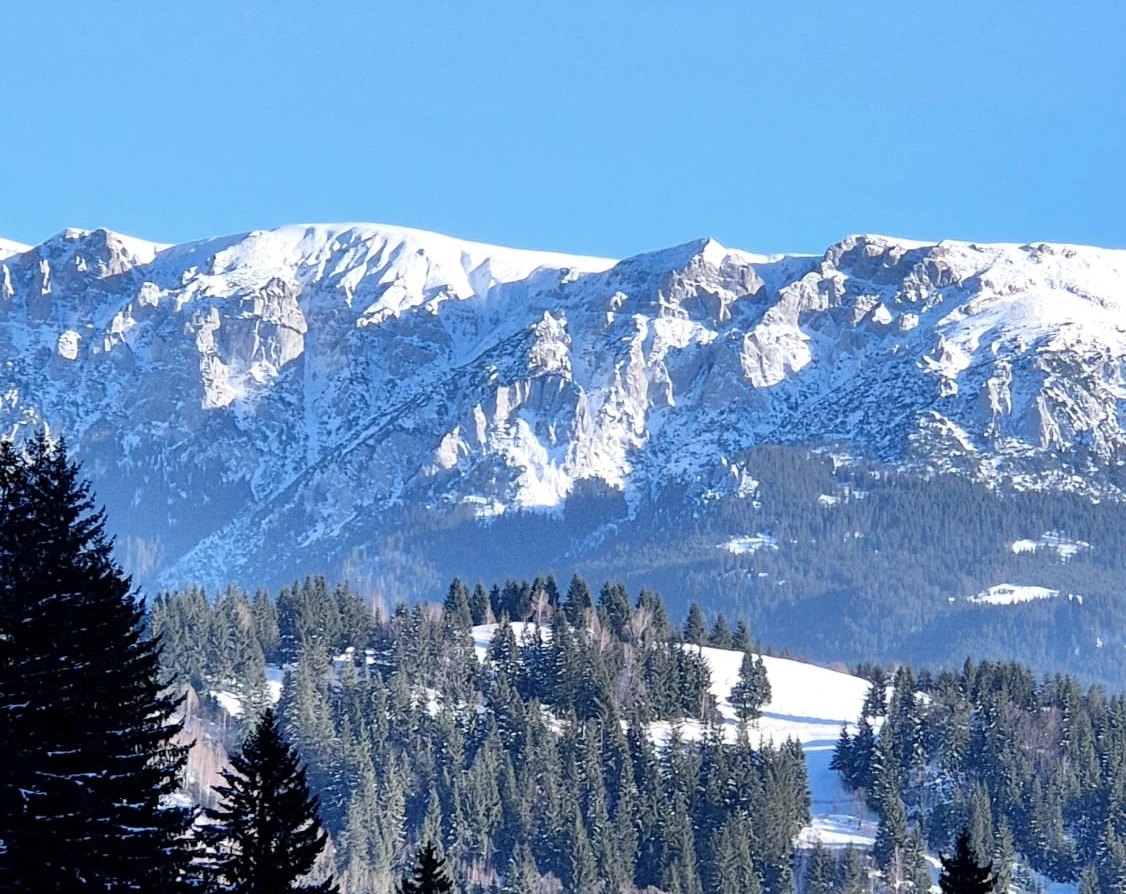 https://www.travlocals.com/uploads/0009/9041/2025/02/12/bb19b41f-2529-4a77-ad7e-9713566faa62.webp
