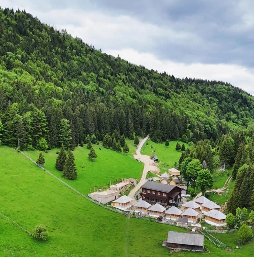 https://www.travlocals.com/uploads/0009/9041/2025/06/20/504005086-1235060275296929-6112485873543888043-n.webp