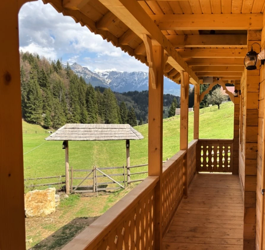 https://www.travlocals.com/uploads/0009/9041/2025/07/02/491497335-18065674073486696-3079852532976296408-n.webp