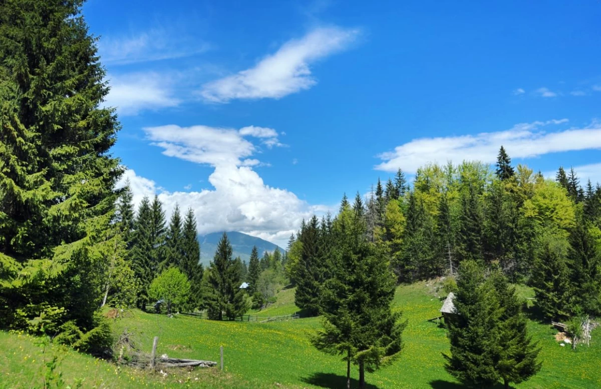https://www.travlocals.com/uploads/0009/9041/2025/07/02/496448005-18066983531486696-3722176258521633419-n.webp